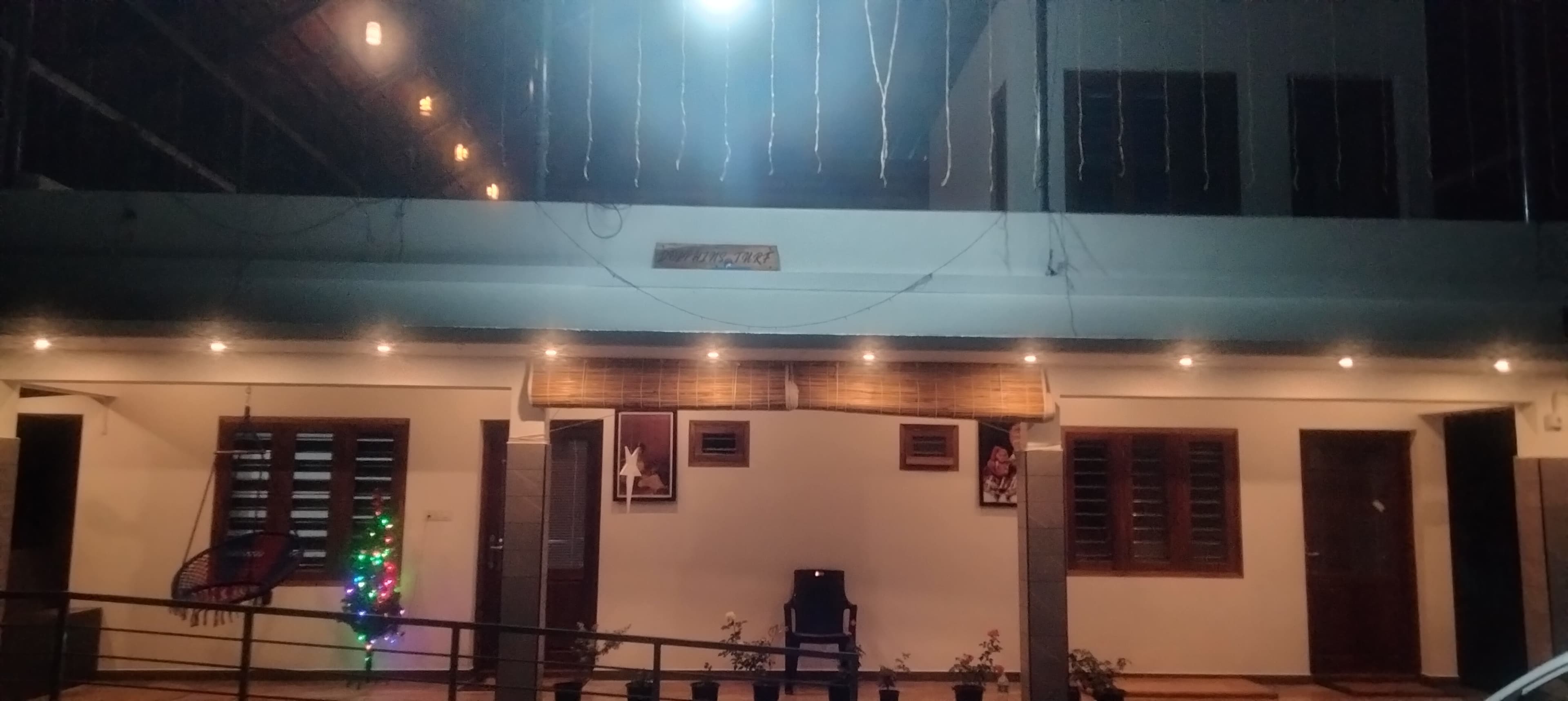 Front view in sunlight