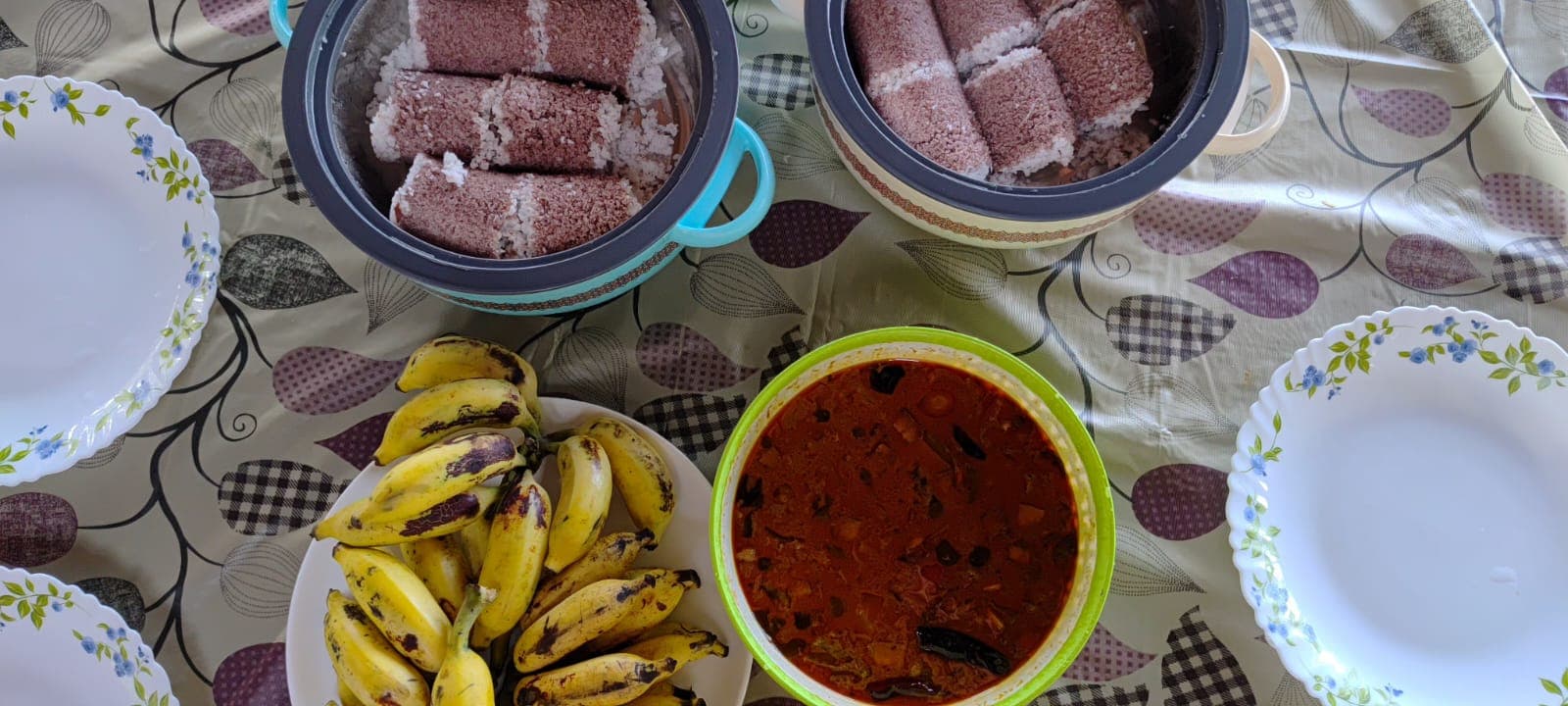 Serene view of Dolphins Turf with focus on tranquility