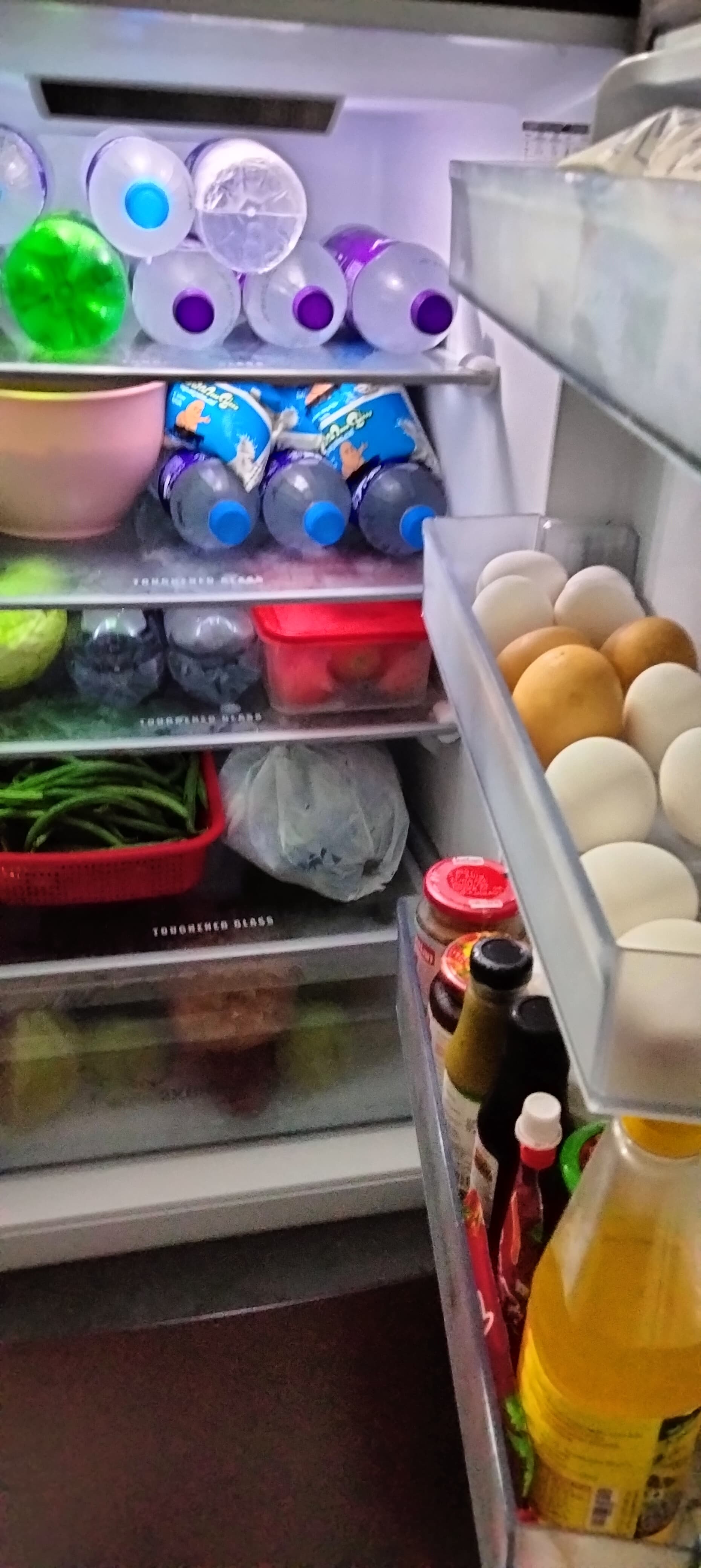 Kitchen fridge