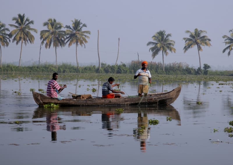 Local Fishing in Alleppey